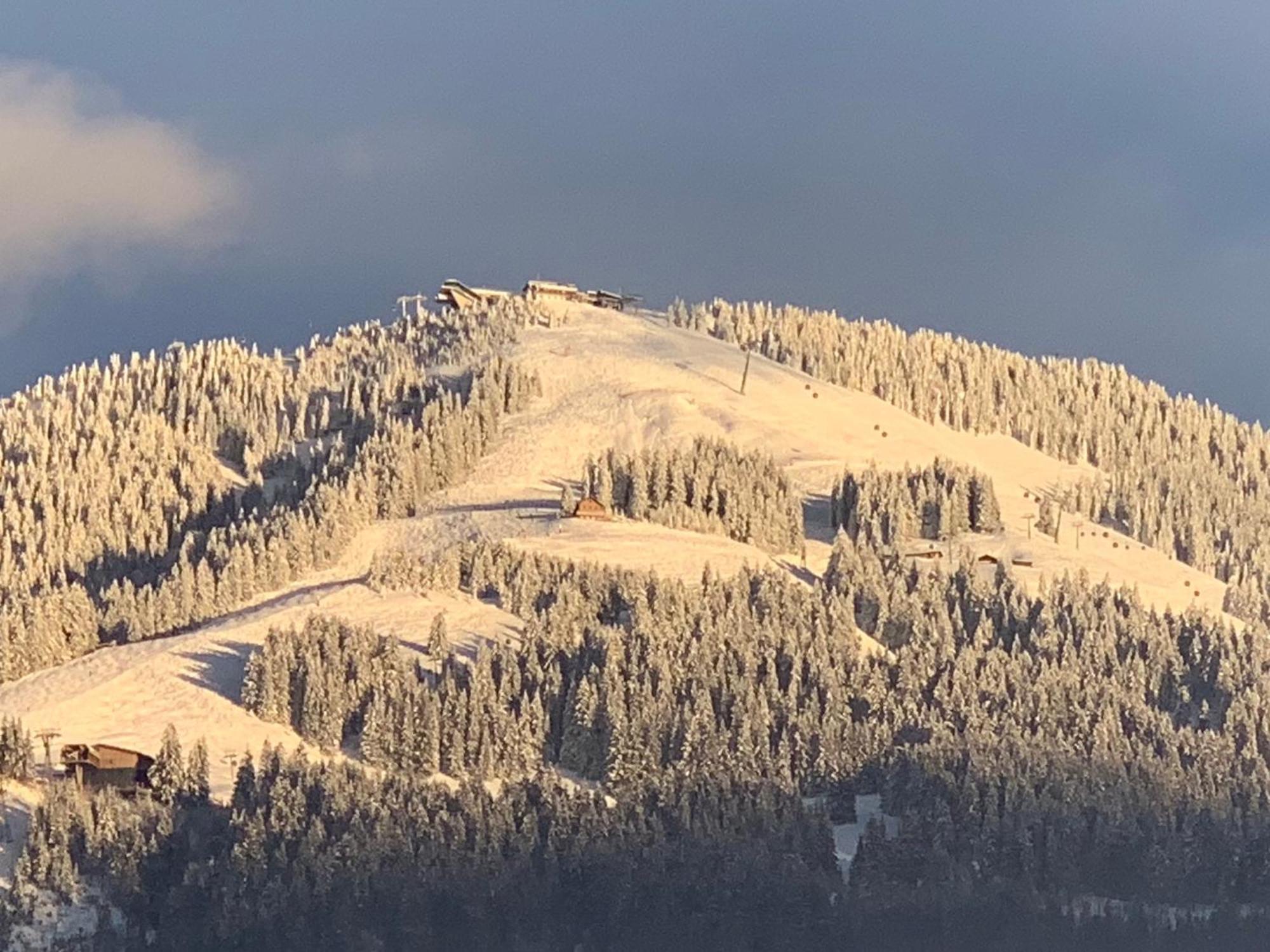 Appartementhaus Schubert Westendorf Eksteriør billede